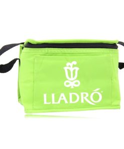Insulated tote bag ideal for picnics outings and promotional giveaways