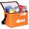 china insulated cooler bag