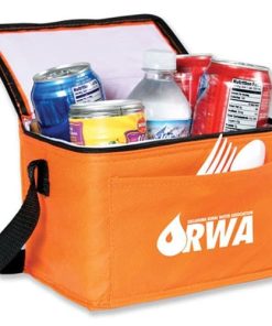 china insulated cooler bag