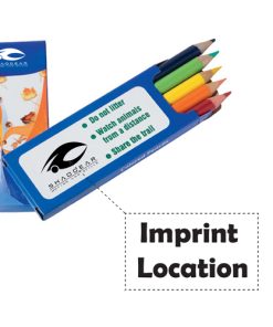 5 Pack Colored Pencils 11 Colored 5 Pencils Pack Image 4