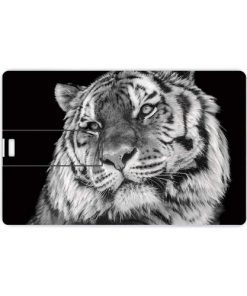 Credit Card Flash Drive 11 8GB Credit Card USB Flash Drive Image 2