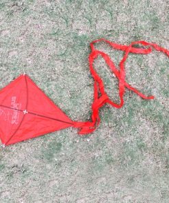 Diamond Kites 23 Diamond Flying Kite Image 9