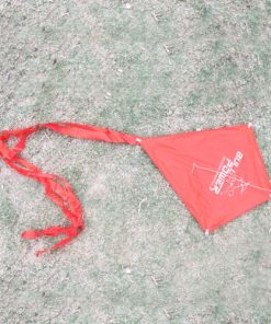 Diamond Kites 18 Diamond Flying Kite Image 4