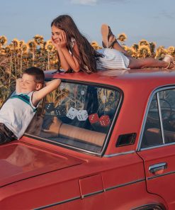 Fuzzy Dice for Rear View Mirror 14 Hanging Square Car Dice with Suction Cup Image 5