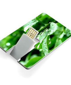 16GB Credit Card USB Flash Drive