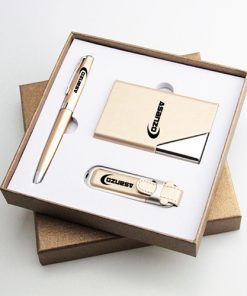 Corporate Card Holder & Pen Gift Set with USB Flash Drive