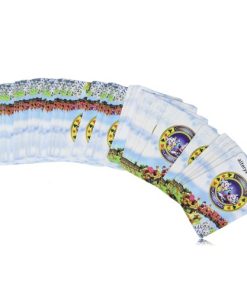 Custom Animated Poker Playing Cards 13 Cartoon Poker Playing Cards Image 2