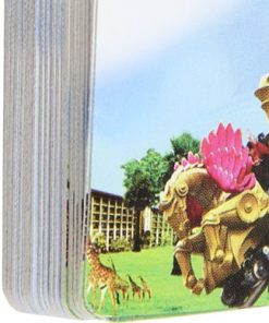 Custom Animated Poker Playing Cards 17 Cartoon Poker Playing Cards Image 6