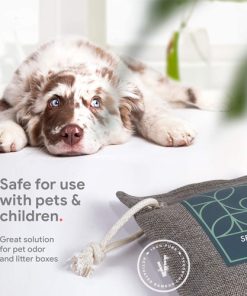 Charcoal Air Purifying Bag for Home & Car Image 1