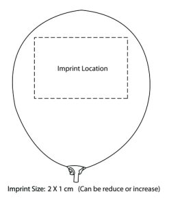 10 inch Custom Balloons 27 10 Inch Personalized Balloons Wholesale Image 12