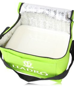 Reusable Non-Woven Cooler Bags 41 Non Woven Insulated Custom Cooler Bag Image 16