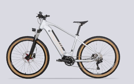 china-e-bike China e bike