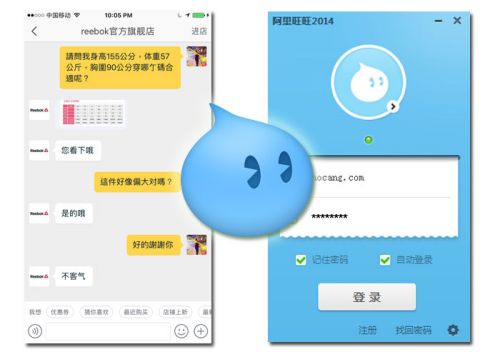 what-is-aliwangwang what is aliwangwang